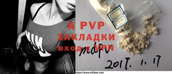 дживик Новодвинск