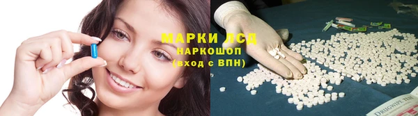 стаф Новокубанск