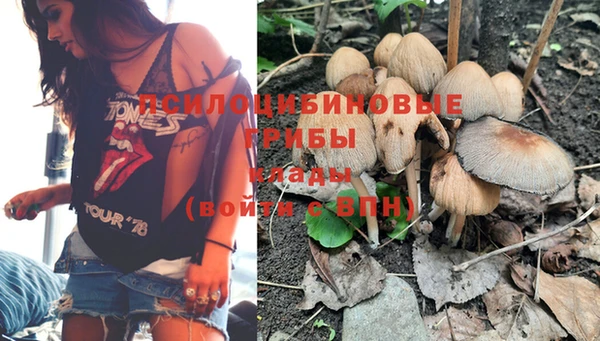 дживик Новодвинск
