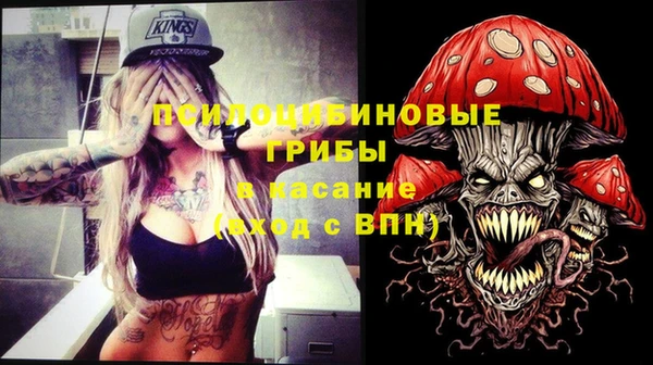 трава Нязепетровск