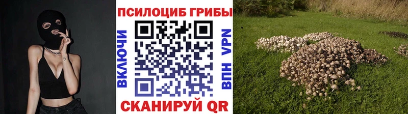Галлюциногенные грибы Psilocybine cubensis  Киселёвск 